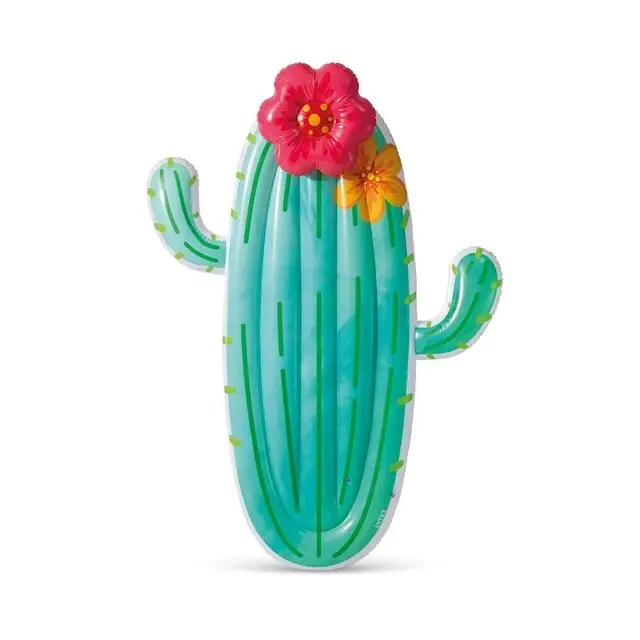 Geld-Terug-Garantie Intex Drijvende Cactus