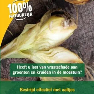 ECOstyle Aaltjes (FC) Bestrijdingsmiddel Tegen Uienvlieg Larven - 60m² Direct Beschikbaar