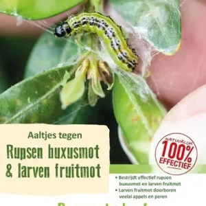 Goedkoop ECOstyle Aaltjes (FC) Bestrijdingsmiddel Tegen Buxusmot Larven - 20m²