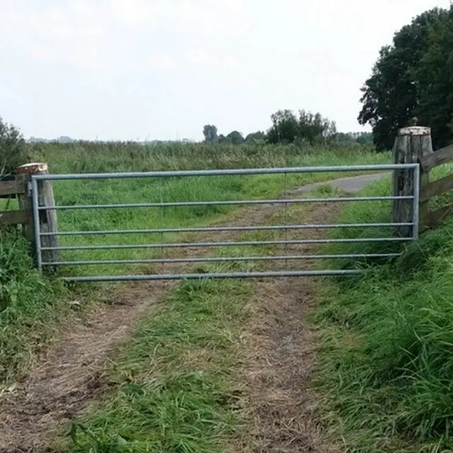 Gegalvaniseerd Landhek (6-Stangs) - 450 x 100 Cm Veilige Betaling