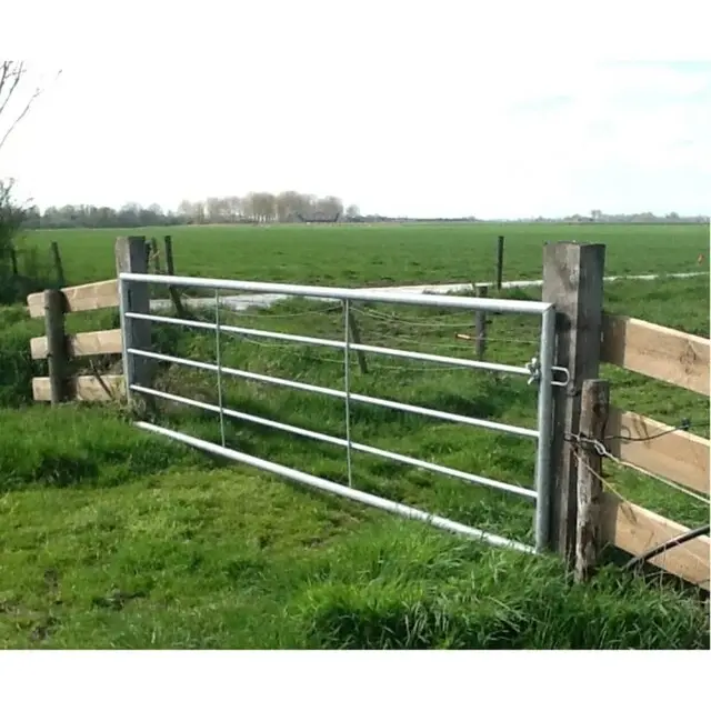 Gegalvaniseerd Landhek (5-stangs) - 550 x 100 Cm Nieuwe Collectie