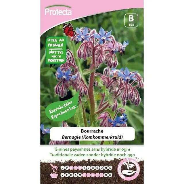 Protecta Groente Zaden Bernagie - Komkommerkruid Voordeelprijs