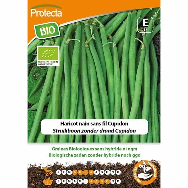 Protecta Groente Zaden Struikboon - Cupido Direct Beschikbaar
