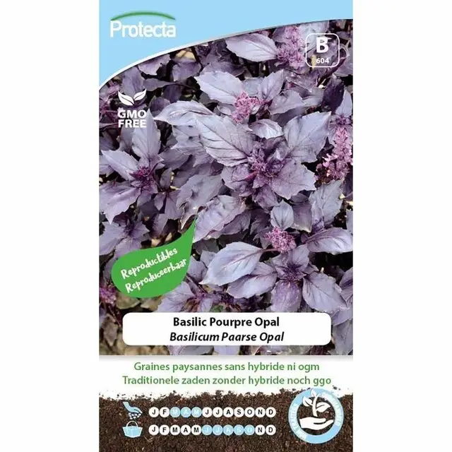 Lage Prijs Protecta Groente Zaden Basilicum - Paarse Opal