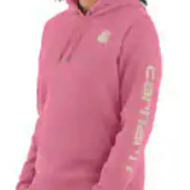 Nu Kopen Carhartt 102791 Sweaters Houtroos L