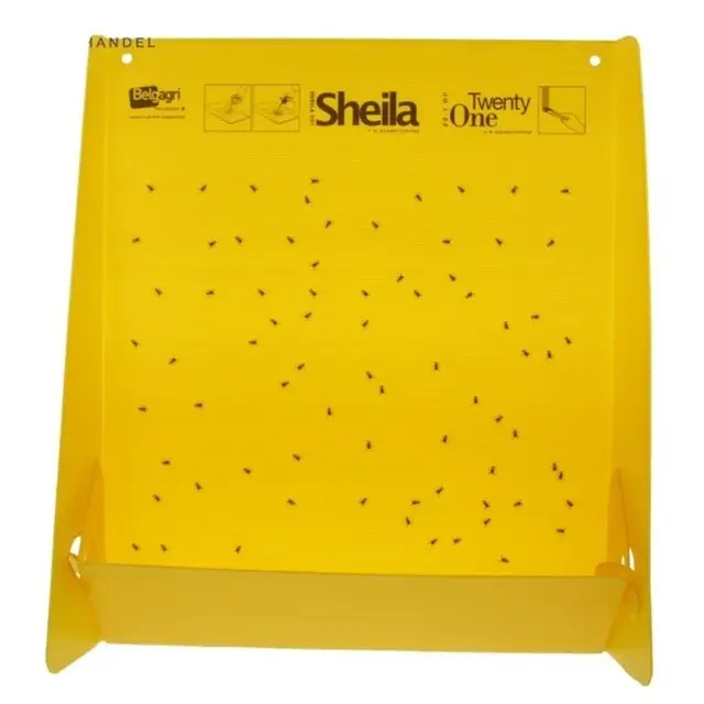 Twenty-One Paneel In De Mode