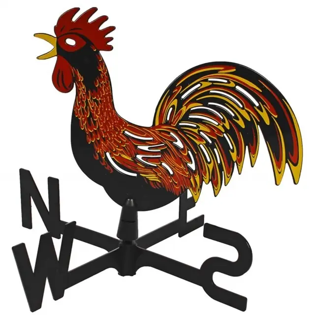 Meest Verkocht Talen Tools Windhaan Kleur