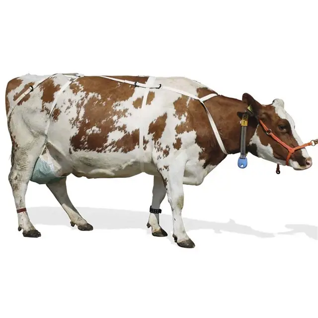 Akroh Uiernet Compleet Met Harnas 2XL Express Levering