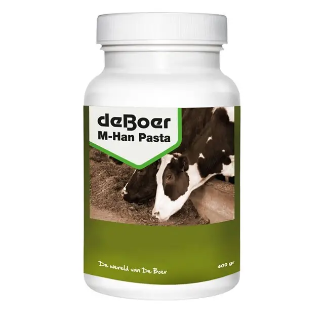 Rechtstreeks Van De Fabrikant De Boer M-Han Pasta - 400 Gram