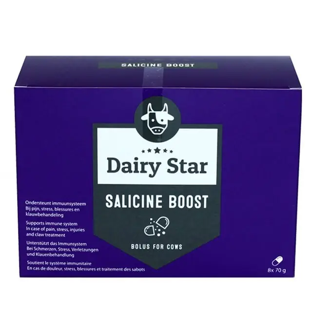 Bestel Nu Dairy Star Sallicine Boost Bolus