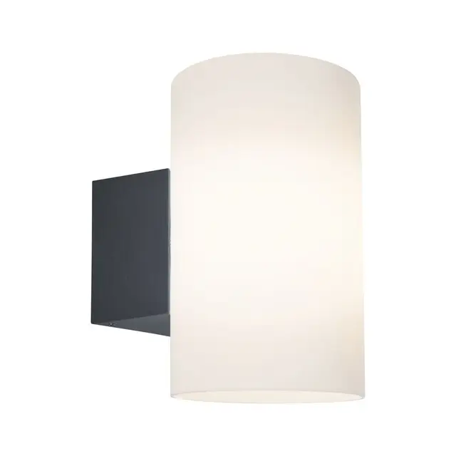 Beperkte Voorraad Paulmann Wandlamp Buiten 8 W Tube IP54 Antraciet