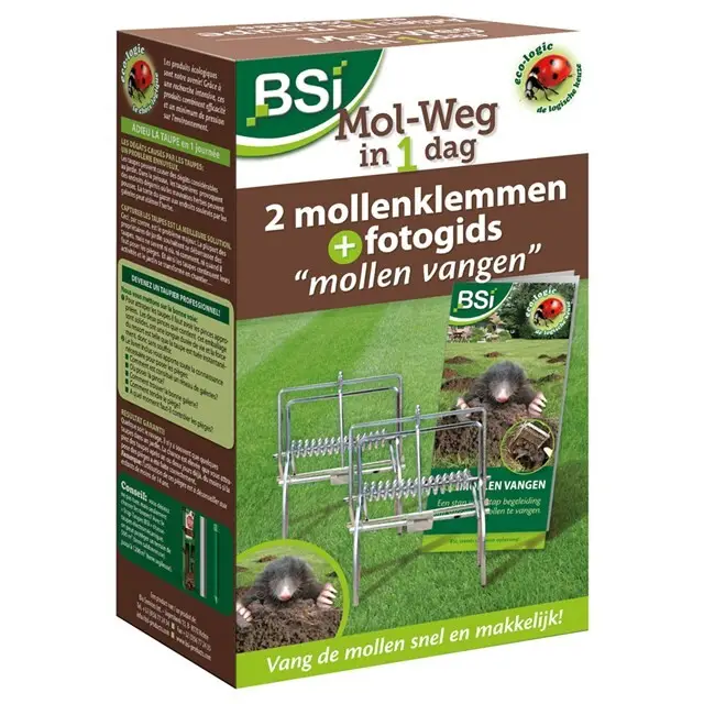 BSI Mol-Weg In 1 Dag Laatste Versie
