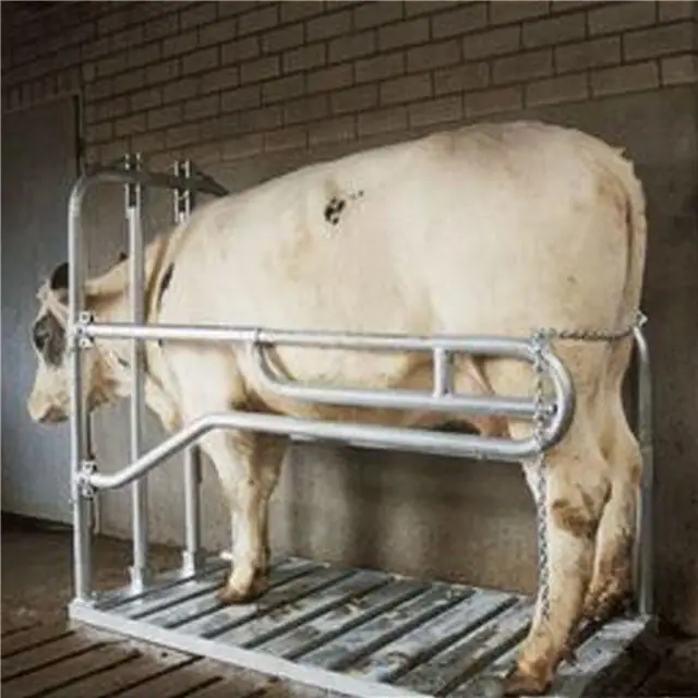 Bestel Nu Vink Keizersnedebox