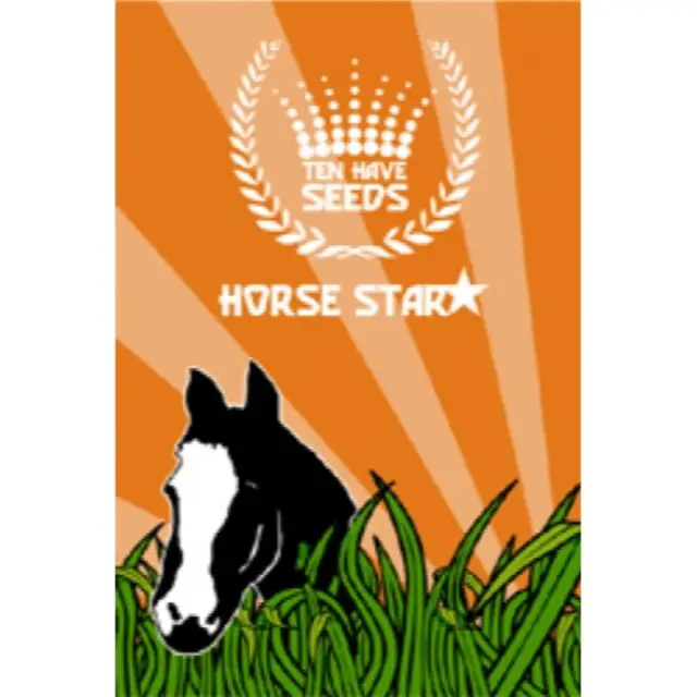 Lage Prijs Horse Star Kruidenmengsel - 250 Gram