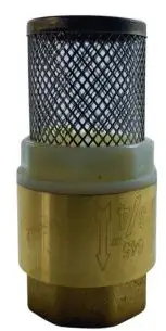 Voetklep veerbelast - terugslagklep - York - messing - 2” Voordeelprijs