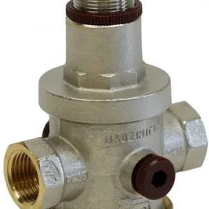 Waterreduceer 2 1/2" PN25 Express Levering