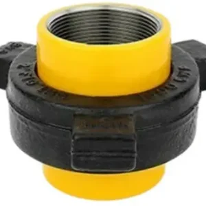 Topkwaliteit Weco Figuur 100 NPT Binnendraad - 6" (DN150)