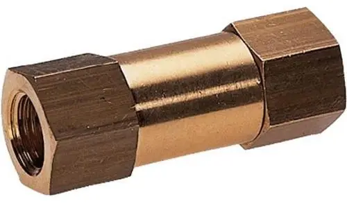 Authentiek Snijringkoppeling-Terugslagkleppen - Terugslagklep - 3/8 BSP Binnendraad