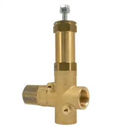 Veiligheidsventiel/drukregelaar VRP175 Wereldwijde Verzending