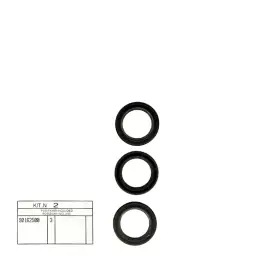 Aanbieding Interpump Kit 2 - Oliekeerringen (3x)