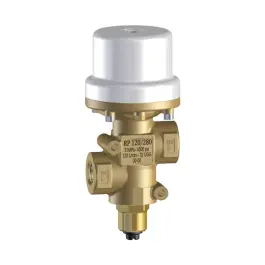 RP120/280 - Pneumatisch ventiel Gratis Verzending