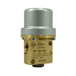 Dagaanbieding RP30/160 - Pneumatisch ventiel
