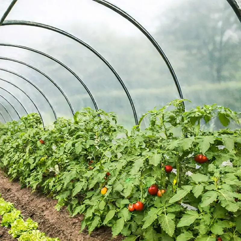 Beperkte Voorraad Tecplast Broeikas Folie 1,5x13 M 150se - Hoge Kwaliteit
