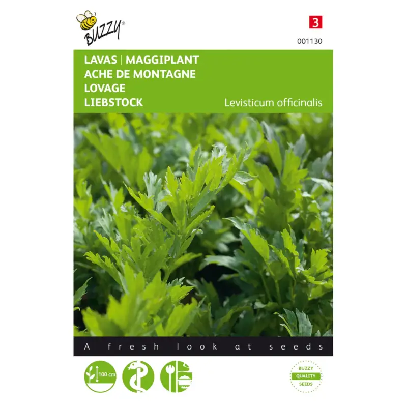 Actieprijs Groentezaden Lavas - Maggiplant