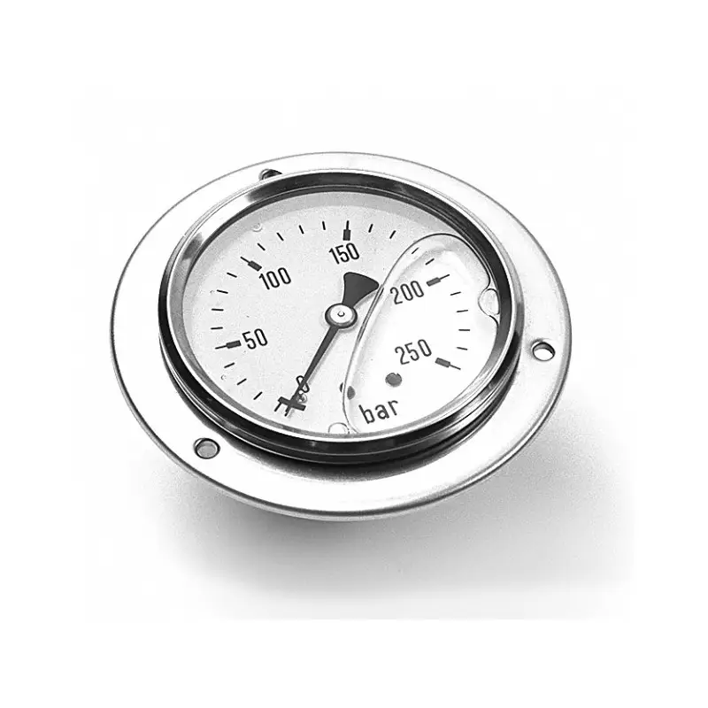 Dagaanbieding Manometer0 – 25 bar Flens 1/4”8221;M